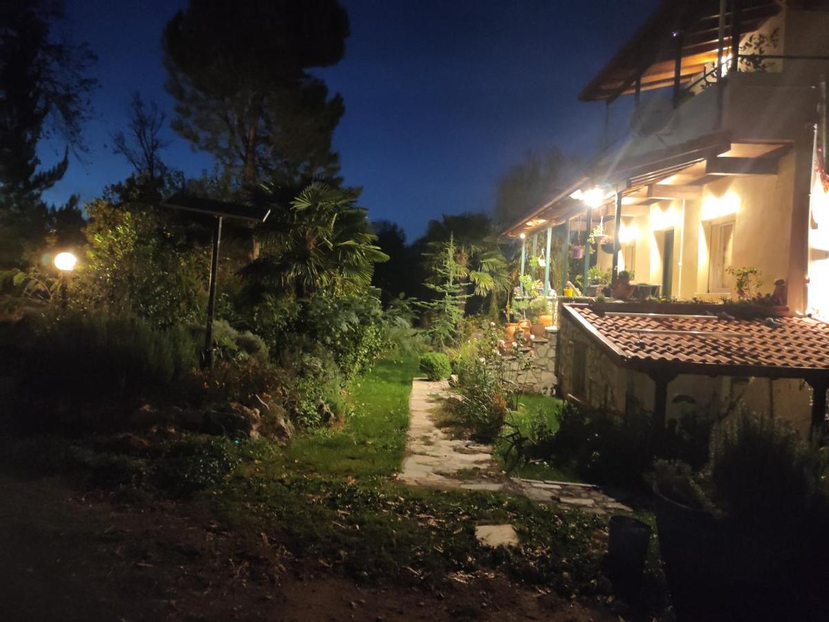 Villa Dorothy