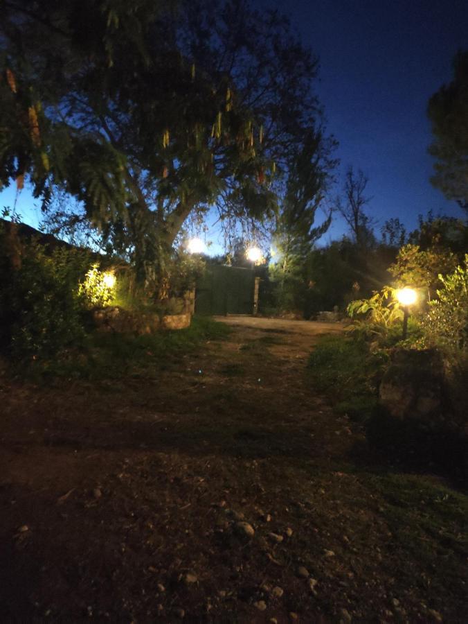 Villa Dorothy *